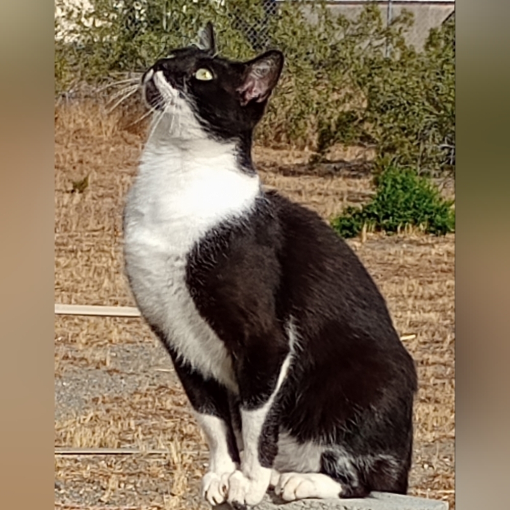 Meet your Posher, Beth